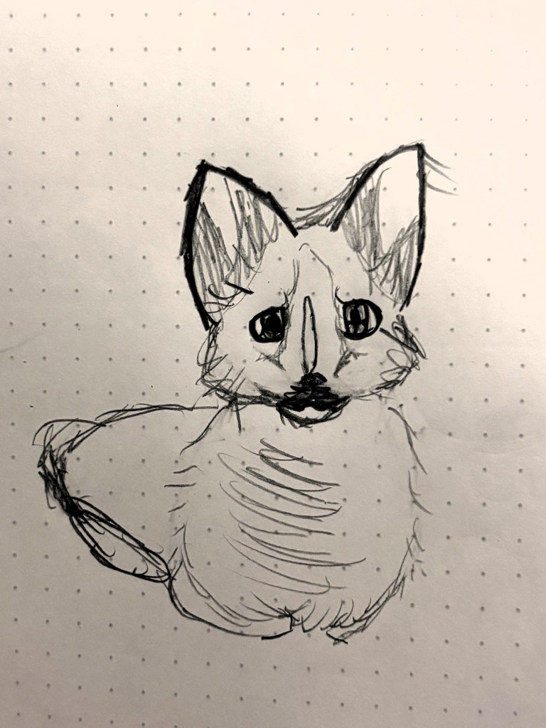 cat illustration by Mariel Quirk